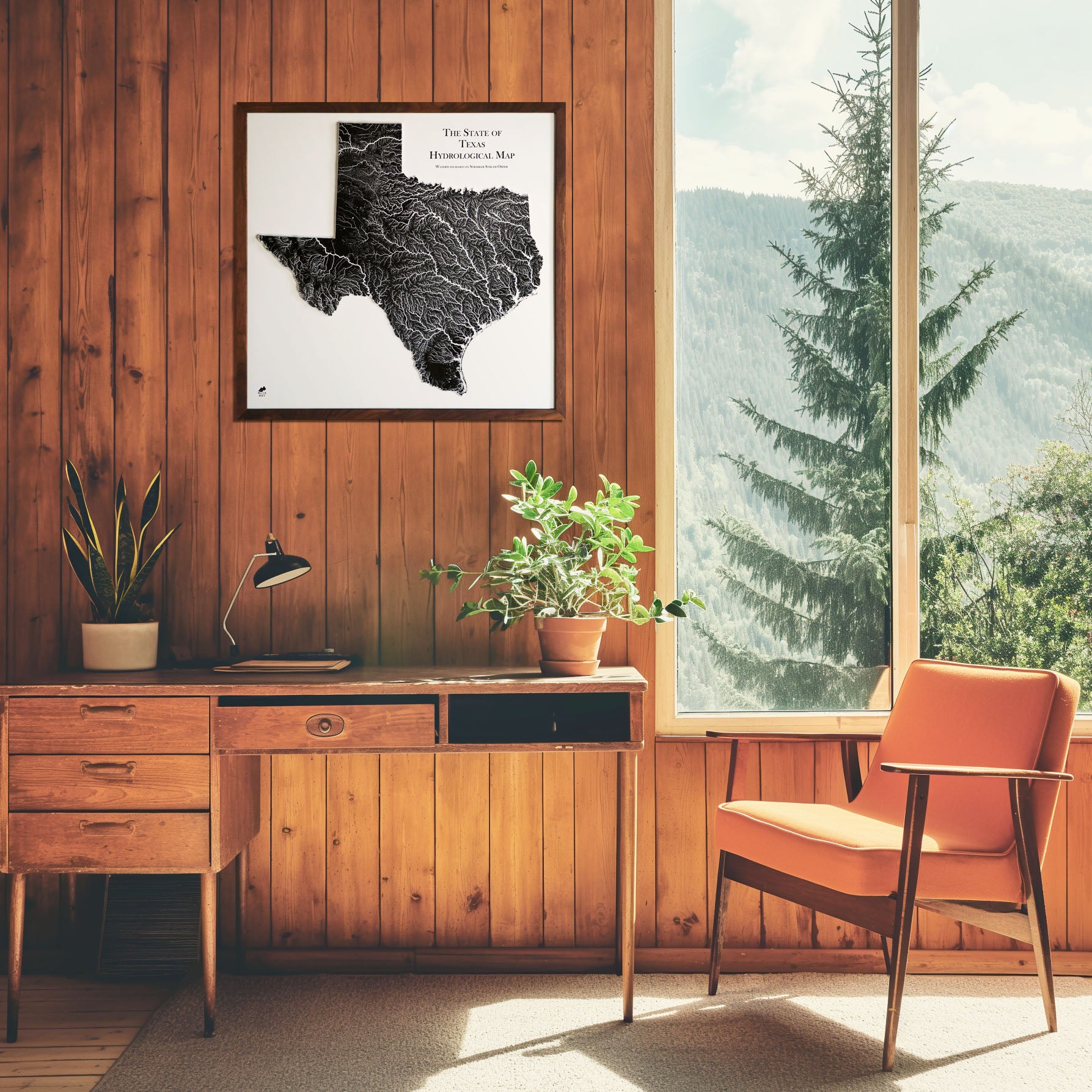 Texas Hydrological - 3D Raised Relief Map - Muir Way - 3D