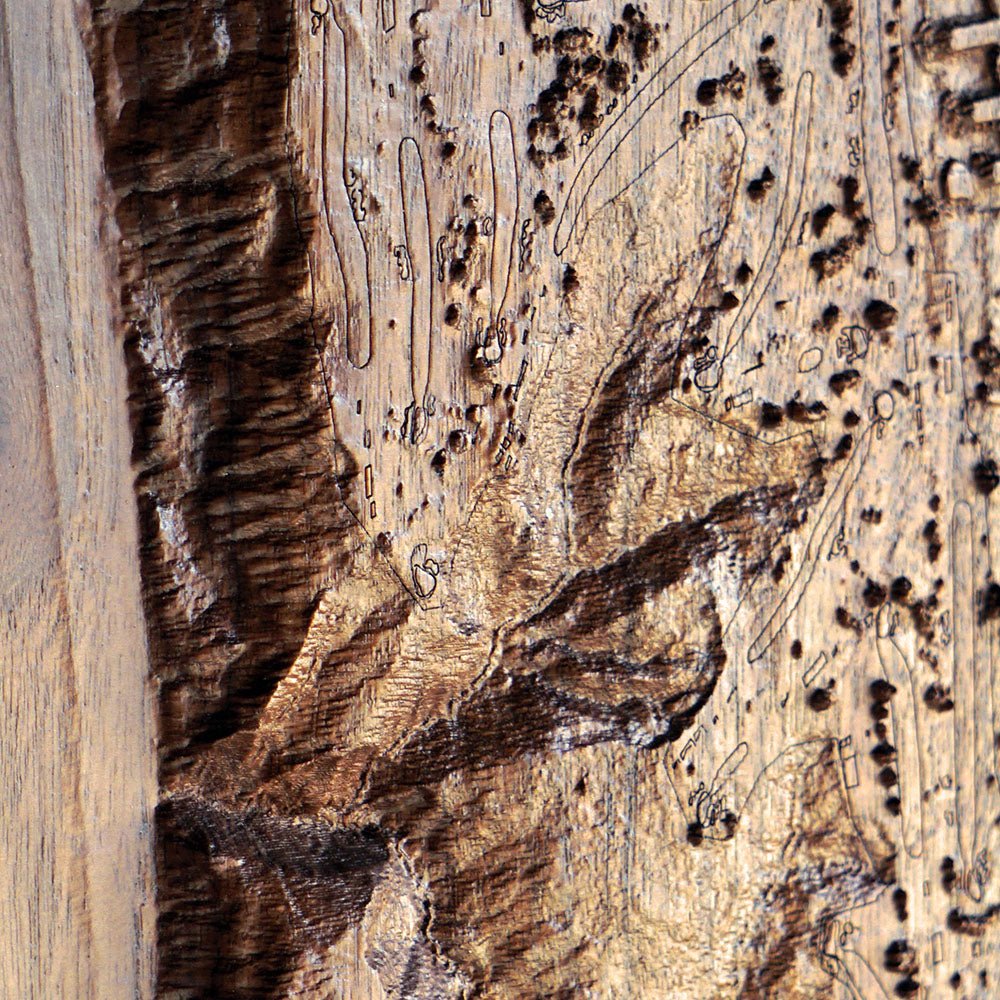 Torrey Pines, California – 3D Wood - Carved Map - Muir Way - Custom