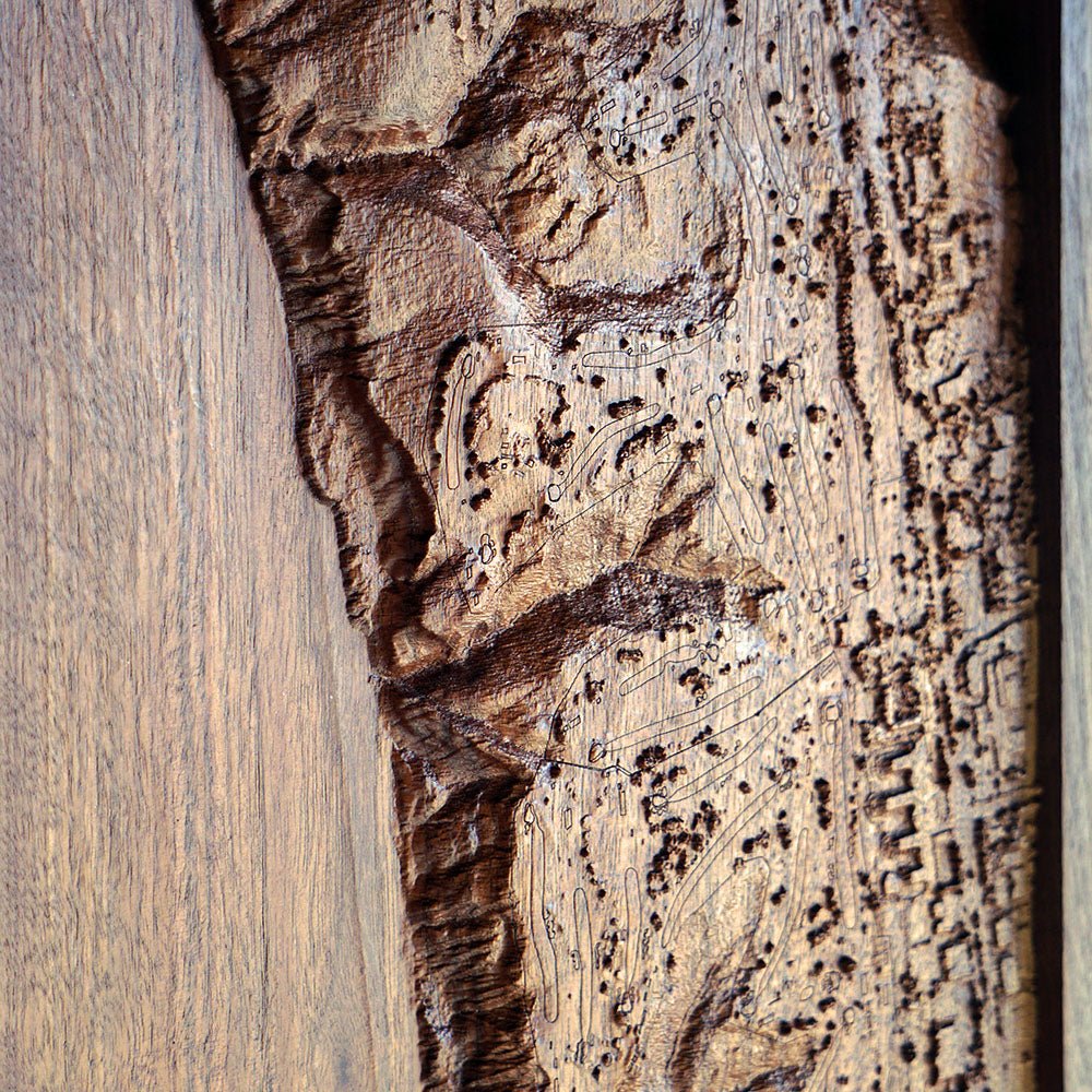 Torrey Pines, California – 3D Wood - Carved Map - Muir Way - Custom