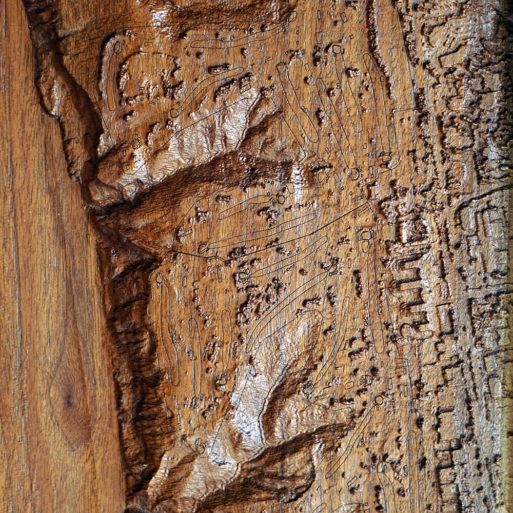 Torrey Pines, California – 3D Wood - Carved Map - Muir Way - Custom