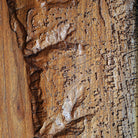 Torrey Pines, California – 3D Wood - Carved Map - Muir Way - Custom