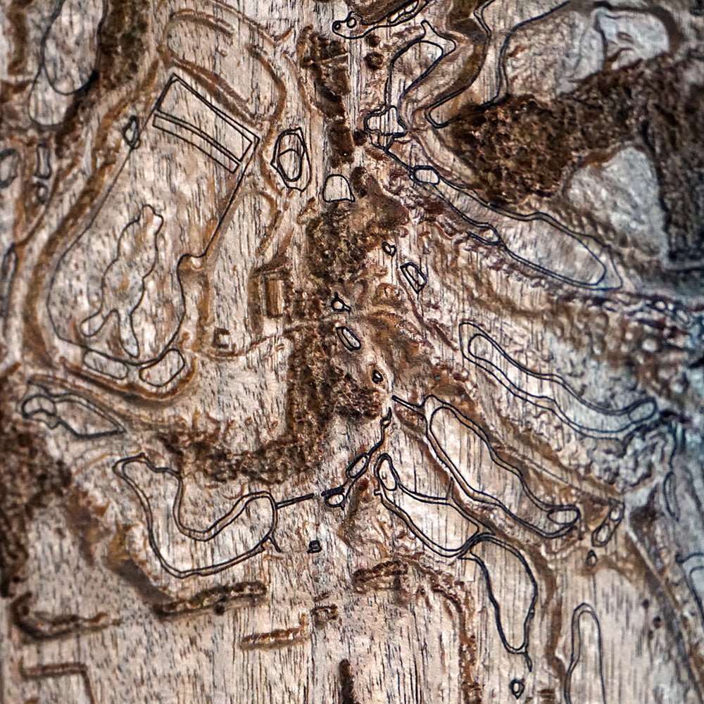 Whistling Straits, Wisconsin – 3D Wood - Carved Map - Muir Way - Custom