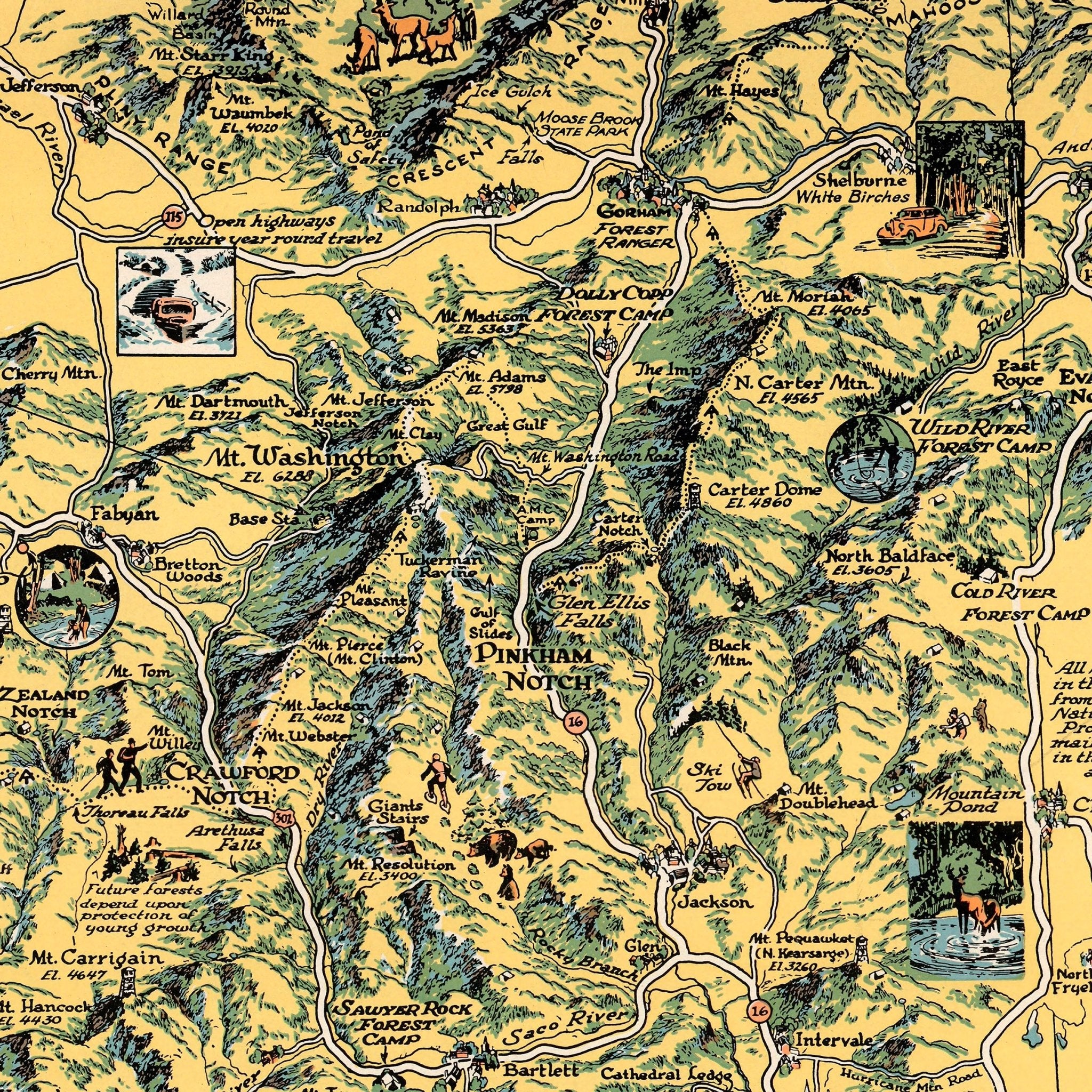 White Mountain National Forest - Muir Way - Vintage Map
