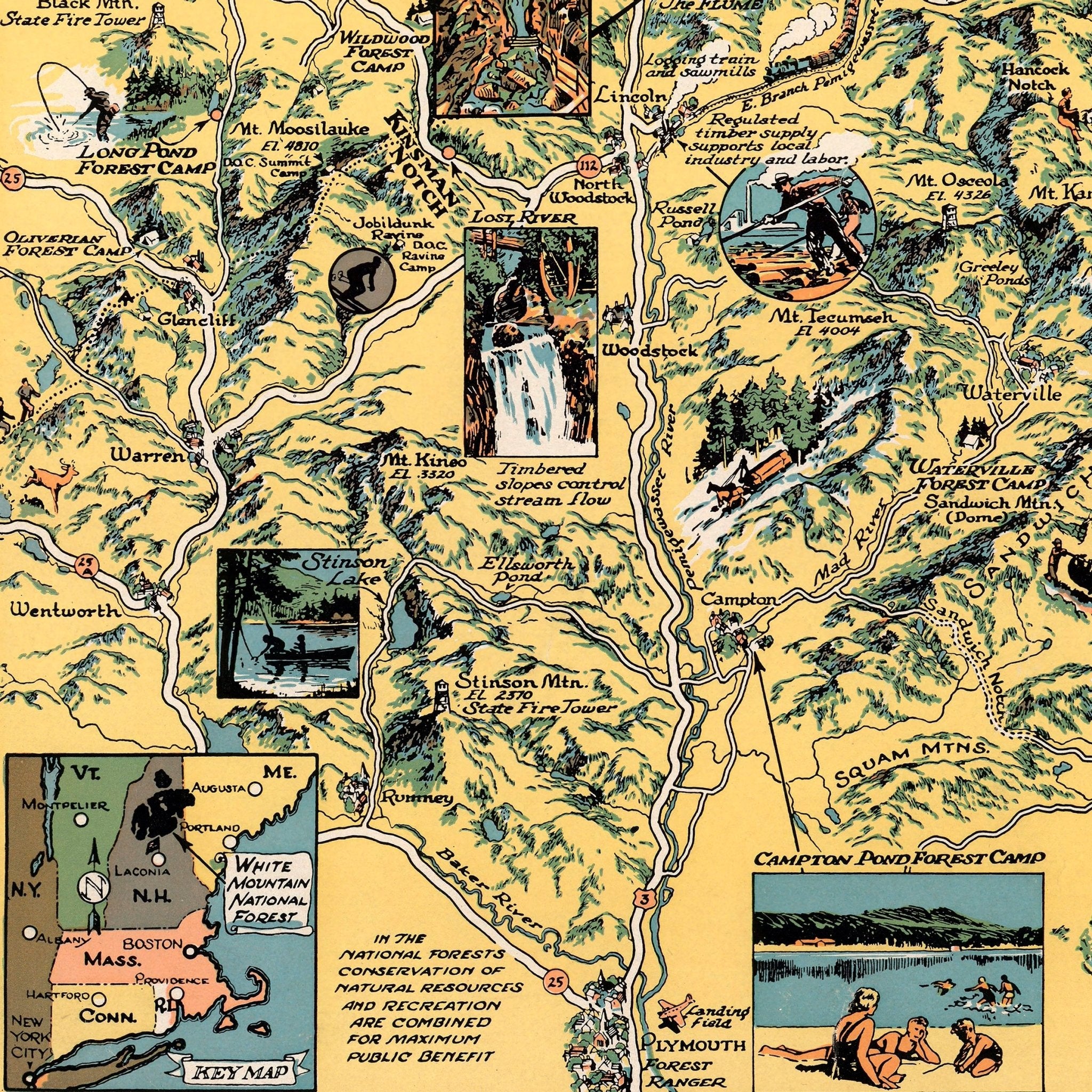 White Mountain National Forest - Muir Way - Vintage Map