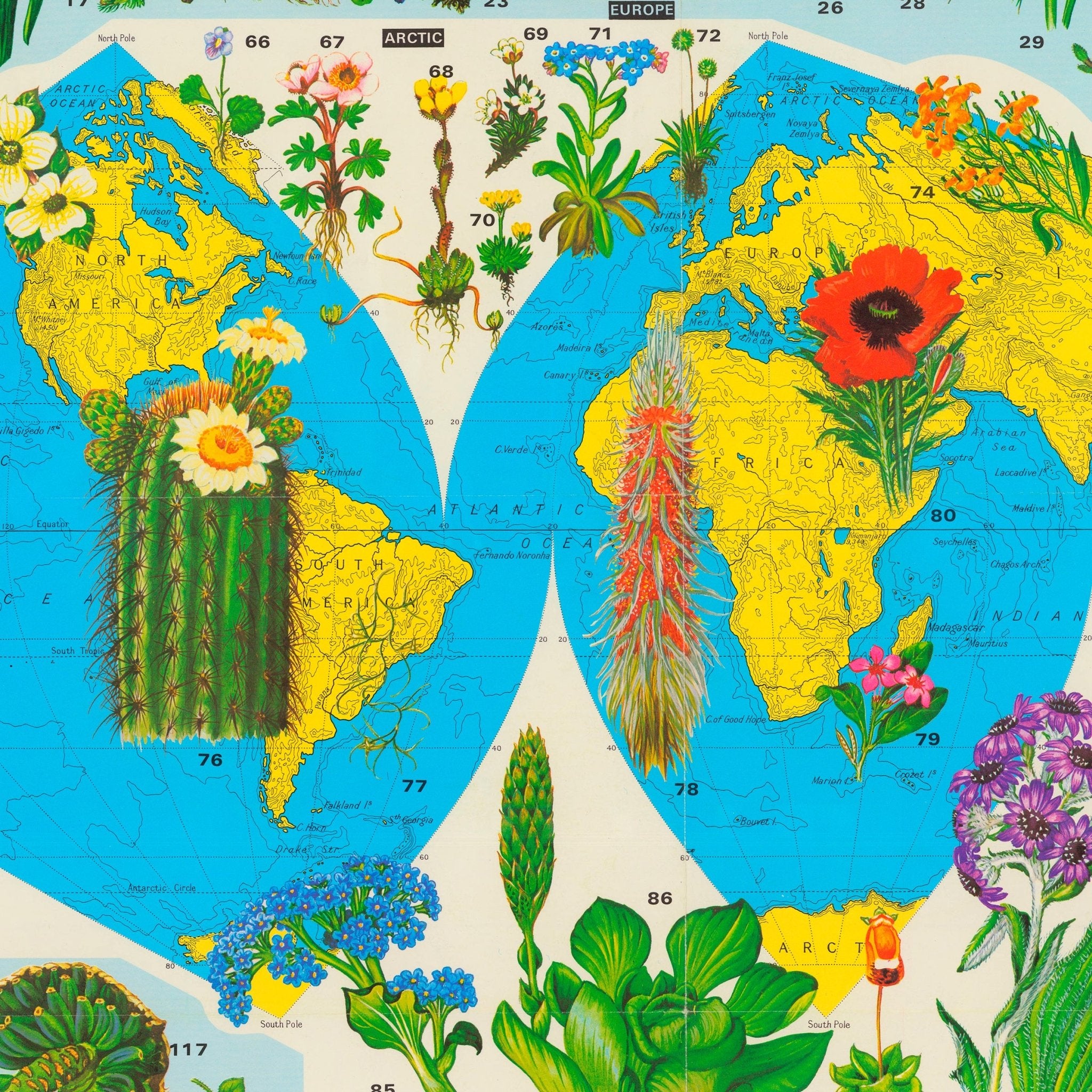 World of Flowers - Muir Way - Vintage Map