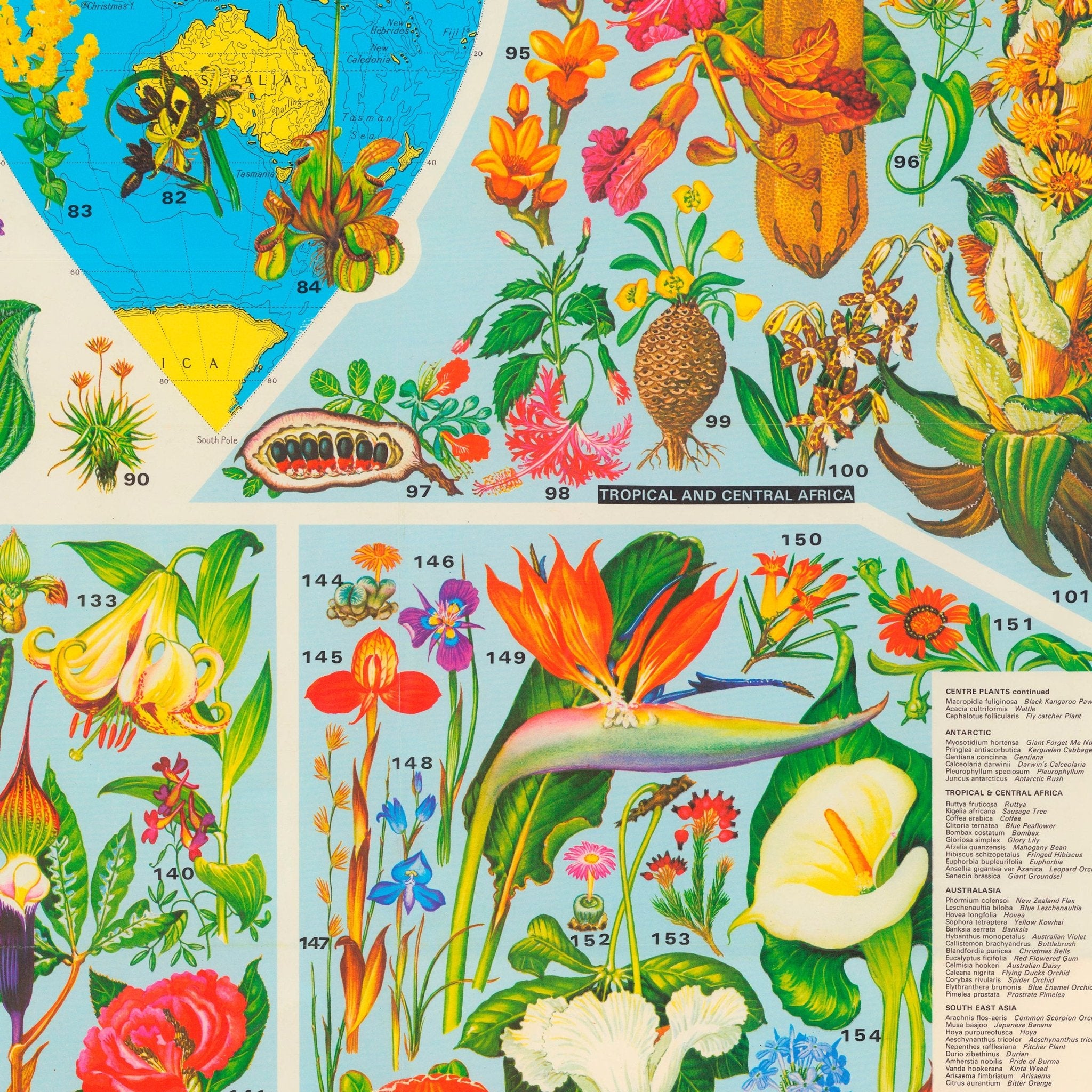 World of Flowers - Muir Way - Vintage Map