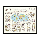 World of Animals - Muir Way - Vintage Map