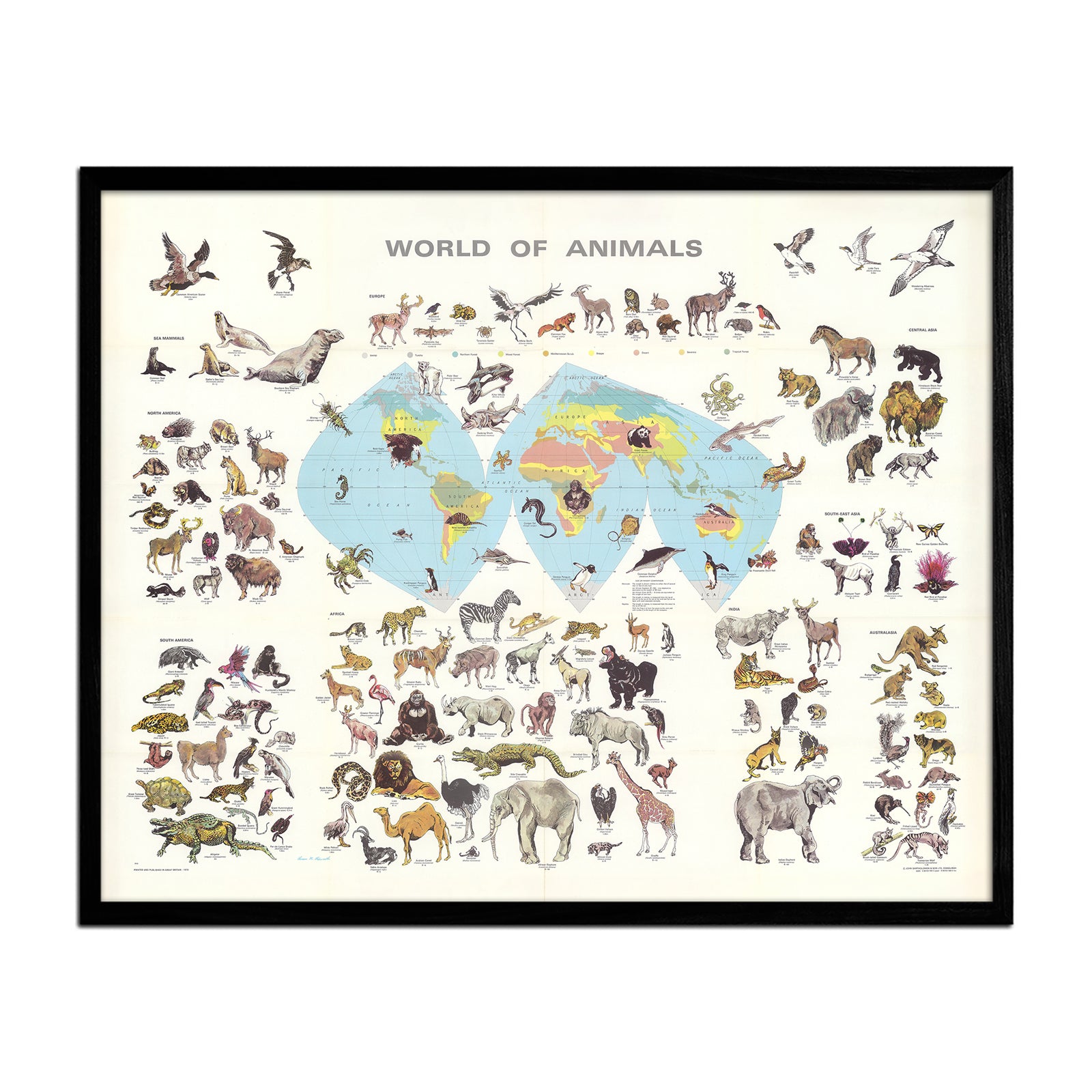 World of Animals - Muir Way - Vintage Map