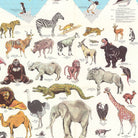 World of Animals - Muir Way - Vintage Map