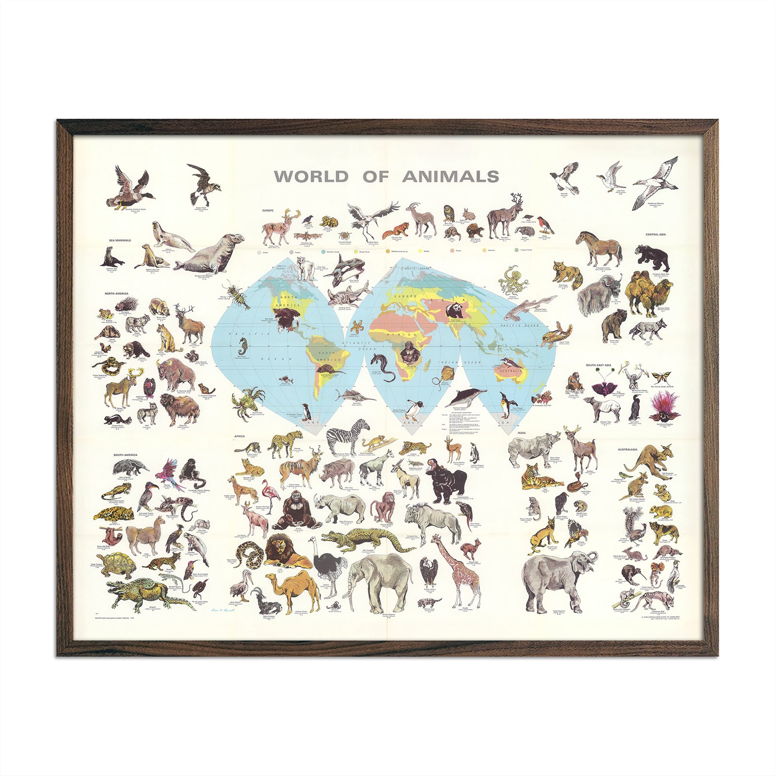 World of Animals - Muir Way - Vintage Map