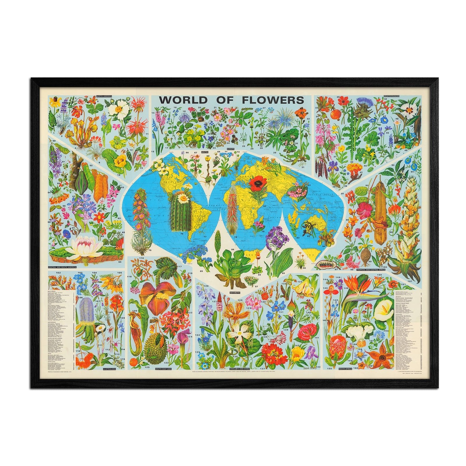 World of Flowers - Muir Way - Vintage Map