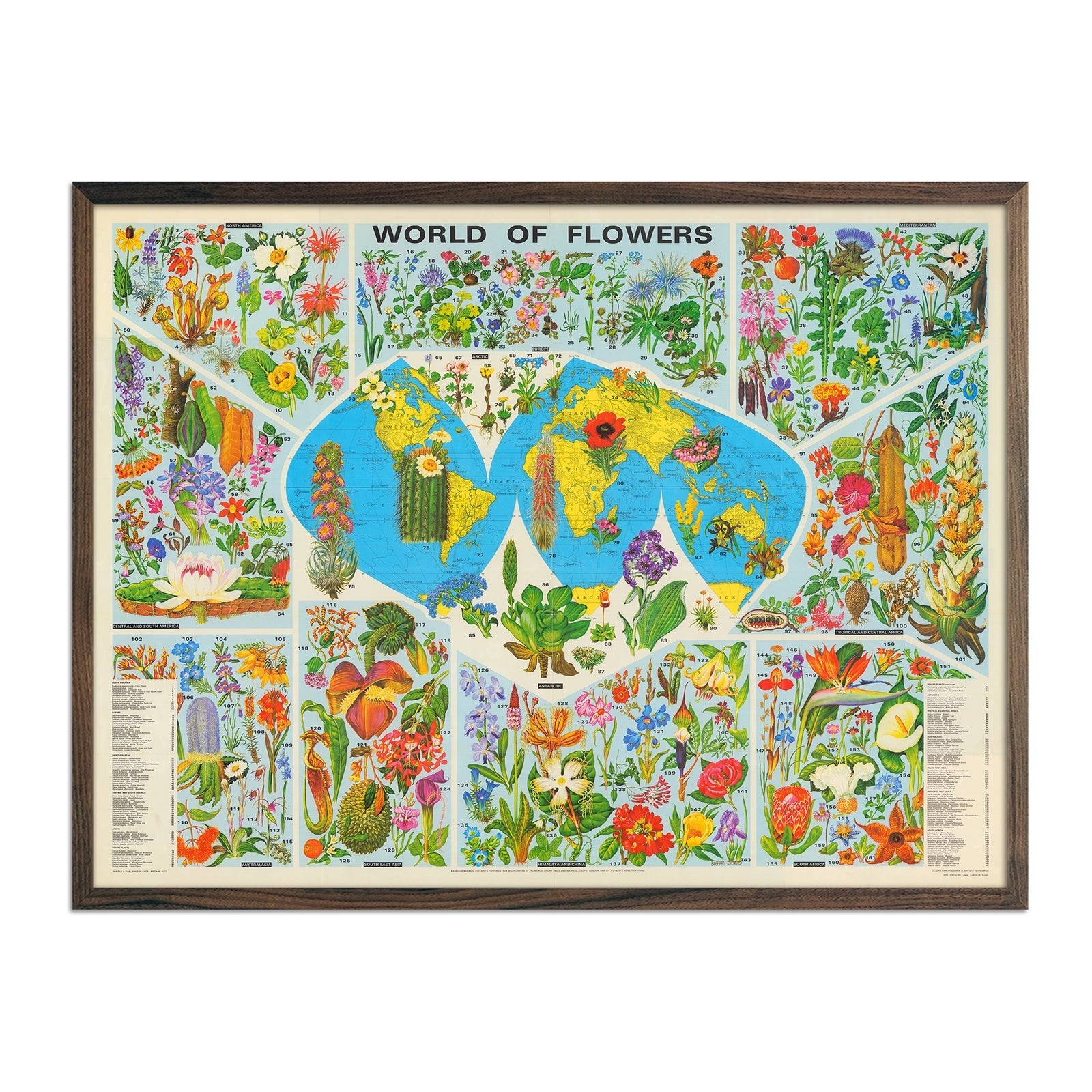 World of Flowers - Muir Way - Vintage Map