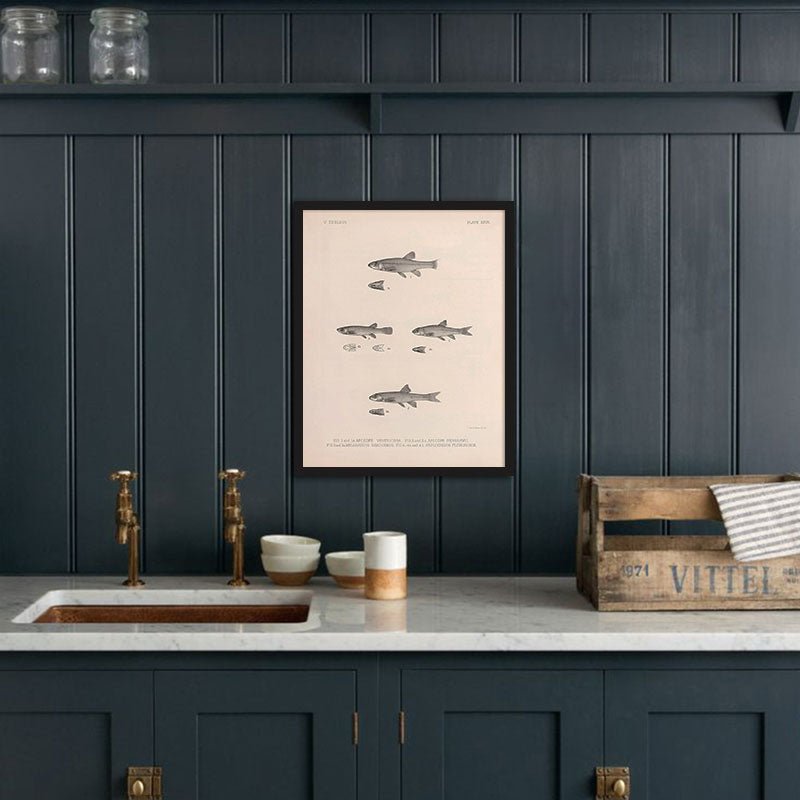Dace, Roach, and Topminnow Art Print - Muir Way - Animals