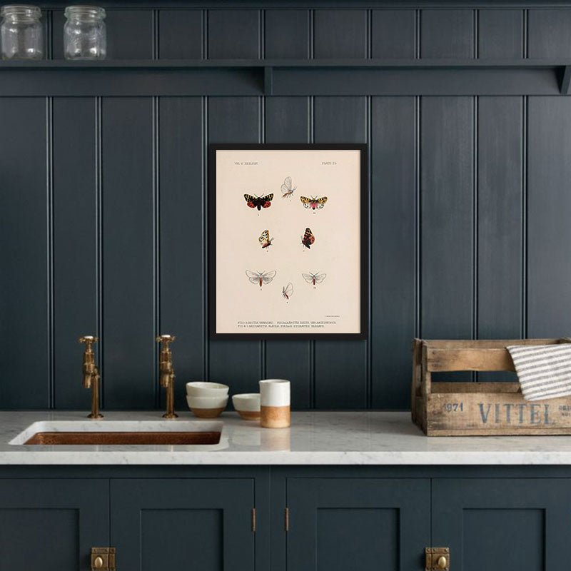Moths Art Print - Muir Way - Animals