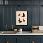 Butterflies - 1 Art Print - Muir Way - Animals