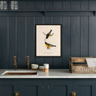Goldfinch Art Print - Muir Way - Animals