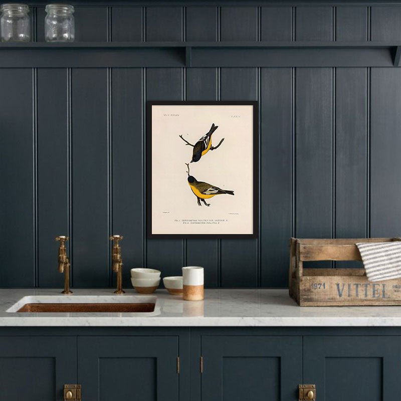 Goldfinch Art Print - Muir Way - Animals
