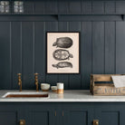 Sonora Mud Turtle Art Print - Muir Way - Animals