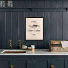 Chub, Shiners, and Dace Art Print - Muir Way - Animals