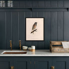 Oregon Junco Art Print - Muir Way - Animals