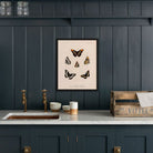 Butterflies - 2 Art Print - Muir Way - Animals
