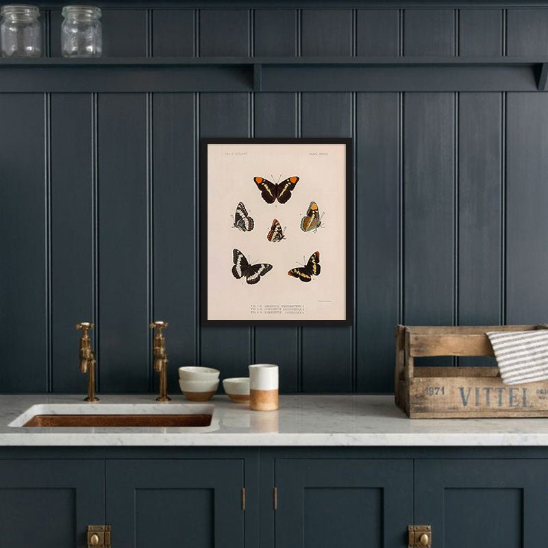 Butterflies - 2 Art Print - Muir Way - Animals
