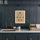 Butterflies - 3 Art Print - Muir Way - Animals