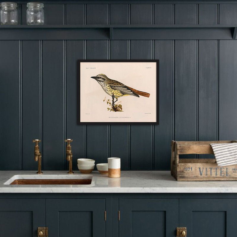 Flycatcher Art Print - Muir Way - Animals