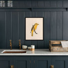 Tanager - Female Art Print - Muir Way - Animals