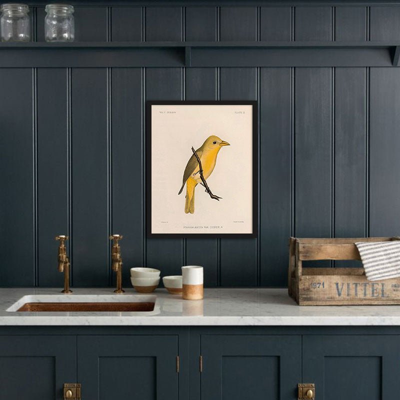 Tanager - Female Art Print - Muir Way - Animals