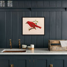 Tanager - Male Art Print - Muir Way - Animals