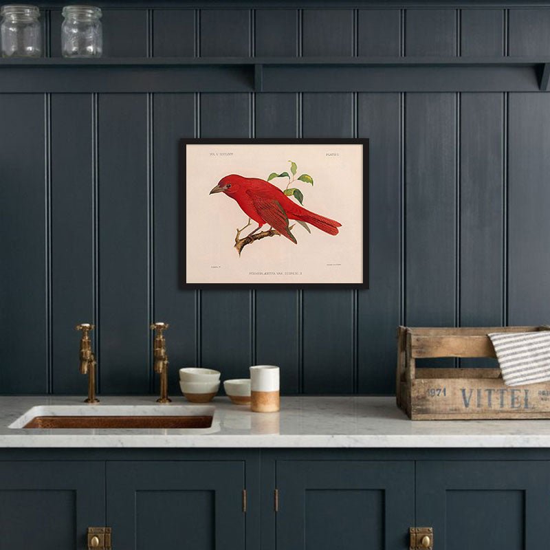 Tanager - Male Art Print - Muir Way - Animals