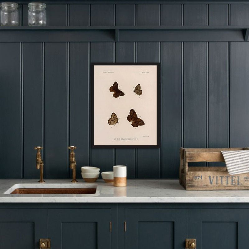 Butterflies - 4 Art Print - Muir Way - Animals