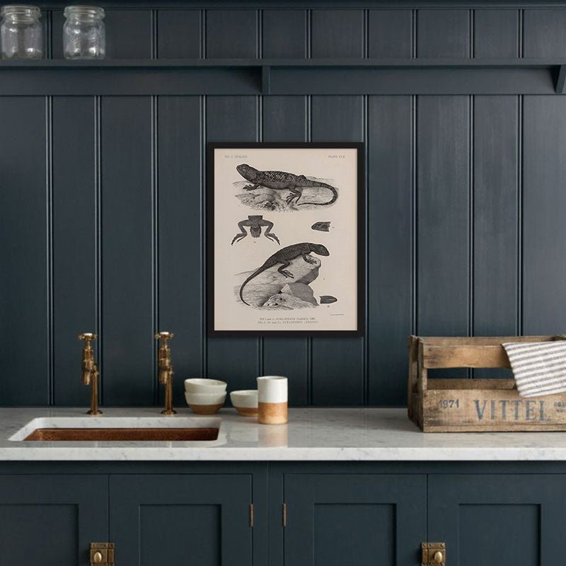 Lizards - 2 Art Print - Muir Way - Animals