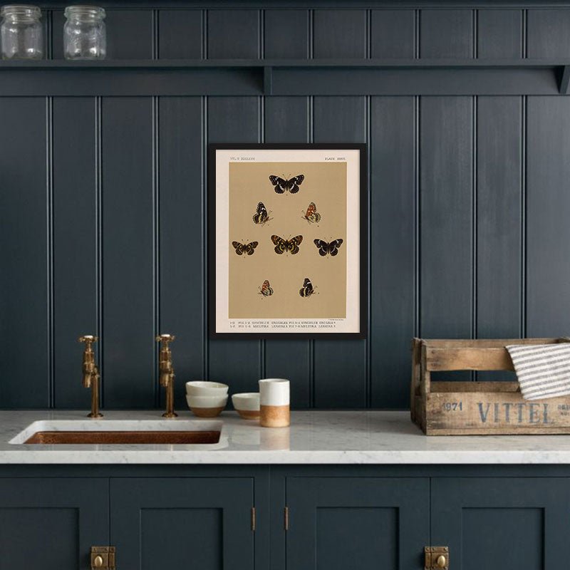 Butterflies - 5 Art Print - Muir Way - Animals