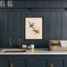 Wren and Sparrow Art Print - Muir Way - Animals