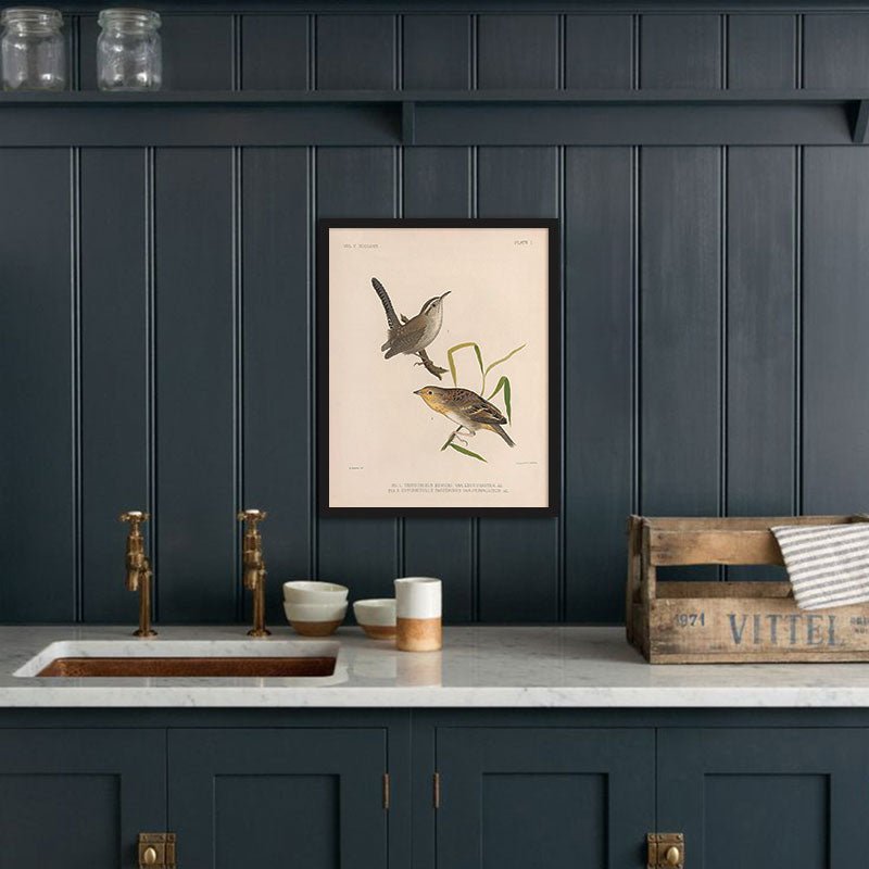 Wren and Sparrow Art Print - Muir Way - Animals