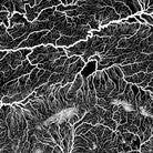 Alaska Hydrological Map - Muir Way - Hydrology
