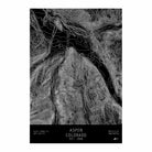 Aspen, Colorado - Muir Way - TOPO Series