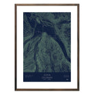Aspen, Colorado - Muir Way - TOPO Series