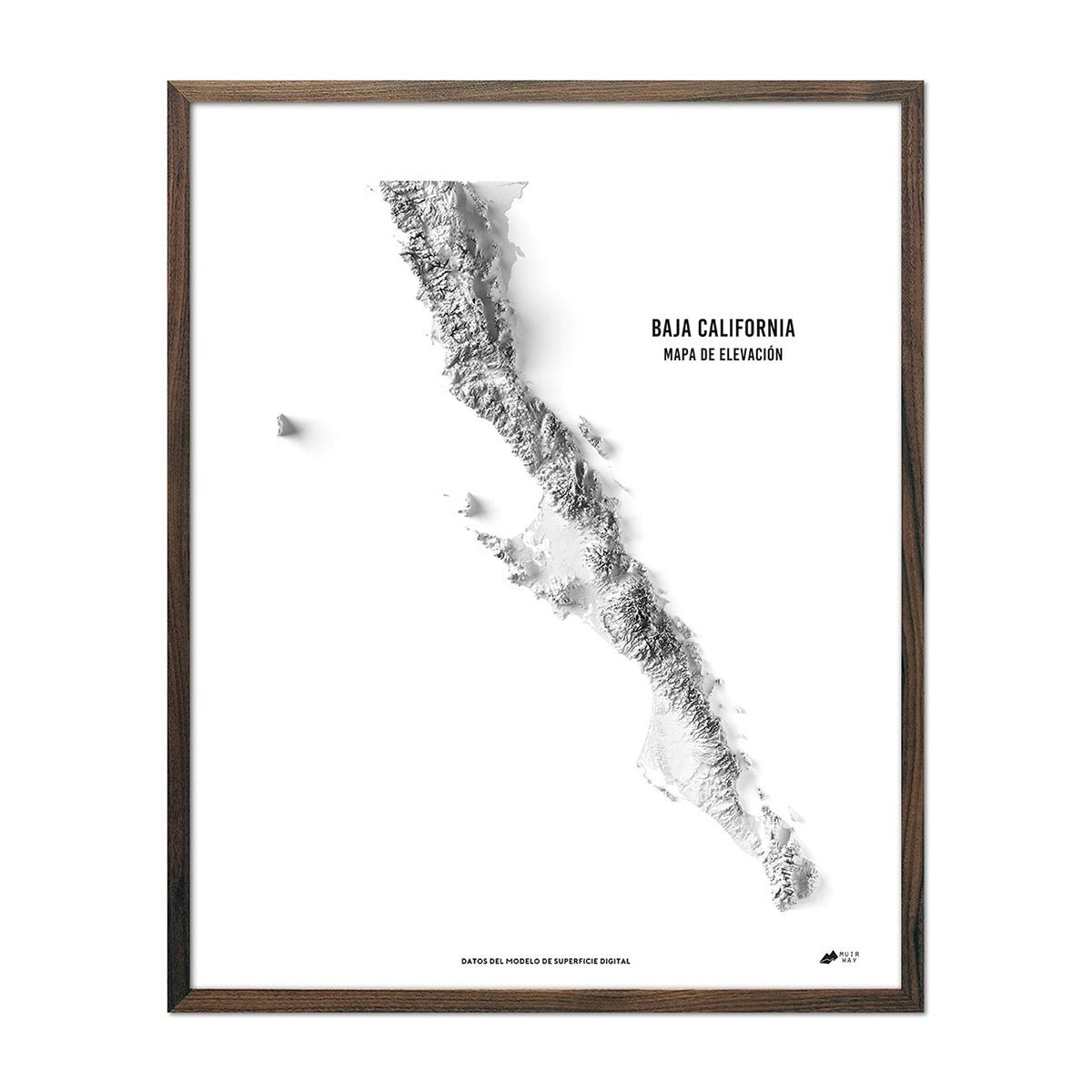 Baja California Elevation Map - Muir Way - Elevation