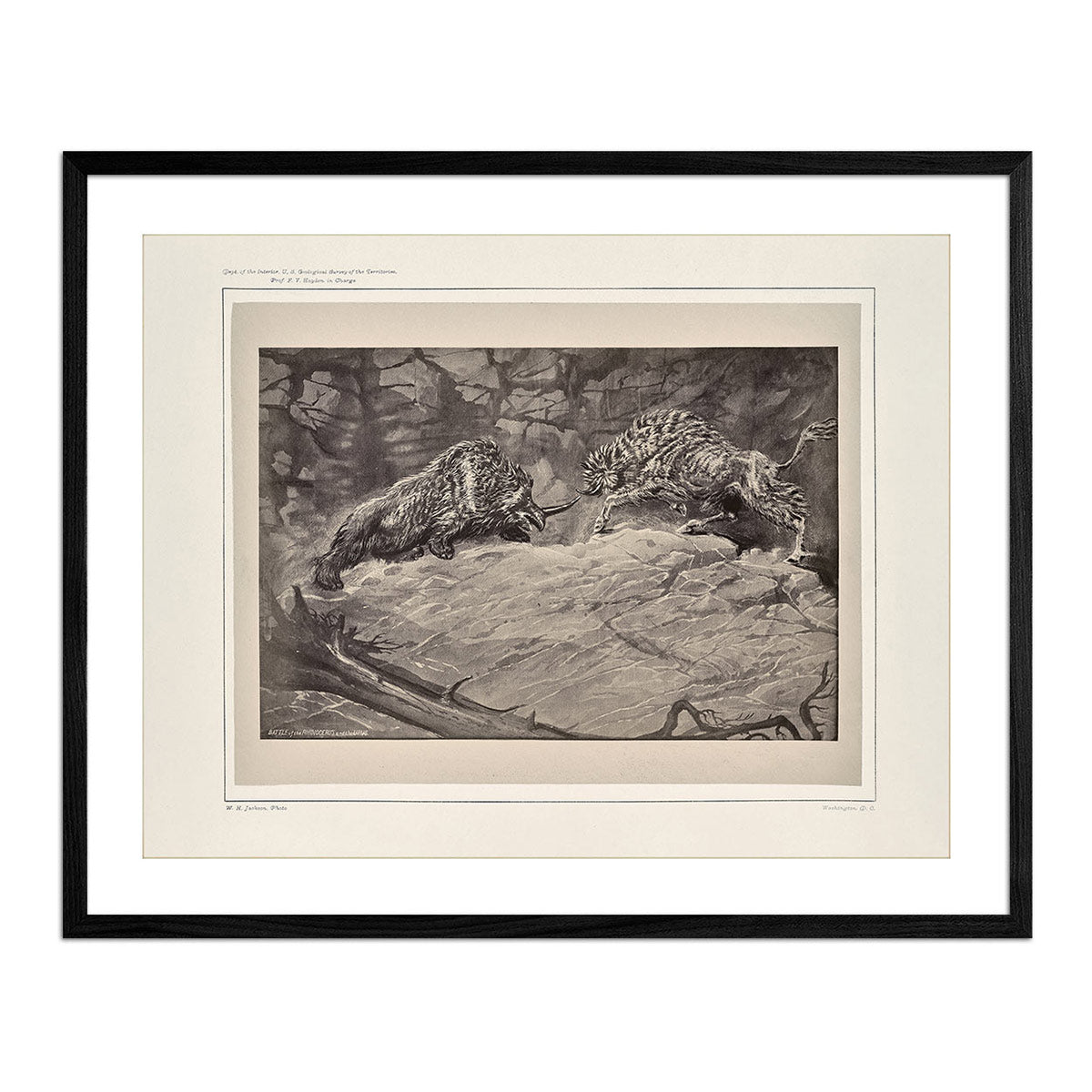 Battle of the Rhinoceros of the Urus, Yellowstone 1873 - Muir Way - Photograph