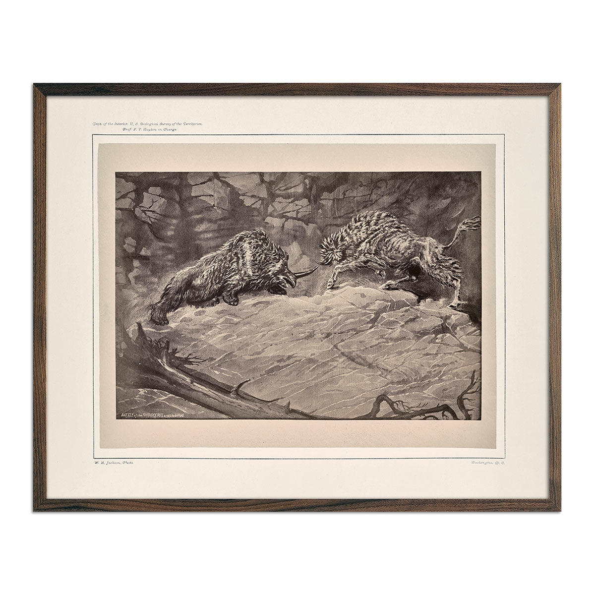 Battle of the Rhinoceros of the Urus, Yellowstone 1873 - Muir Way - Photograph