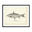 Black Horse Art Print - Muir Way - Fisheries