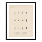 Bugs Art Print - Muir Way - Animals