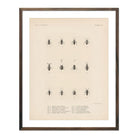 Bugs Art Print - Muir Way - Animals