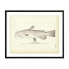 Bull - Head Art Print - Muir Way - Fisheries