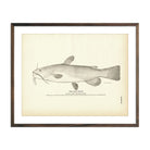 Bull - Head Art Print - Muir Way - Fisheries