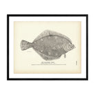 California "Sole" Art Print - Muir Way - Fisheries