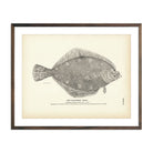 California "Sole" Art Print - Muir Way - Fisheries